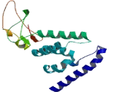 Zinc Finger Protein 638 (ZNF638)