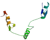 Zinc Finger Protein 64 Homolog (ZFP64)