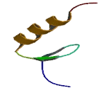 Zinc Finger Protein 642 (ZNF642)