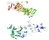 Zinc Finger Protein 644 (ZN<b>F644</b>)