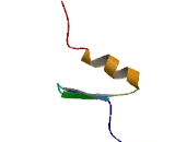 Zinc Finger Protein 652 (ZNF652)