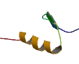 Zinc Finger Protein 655 (ZNF655)