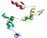 Zinc Finger Protein 613 (ZNF613)