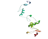 Zinc Finger Protein 677 (ZNF677)