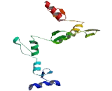 Zinc Finger Protein 679 (ZNF679)