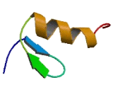 Zinc Finger Protein 691 (ZNF691)