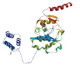 Zinc Finger Protein 695 (ZNF695)