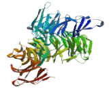 Zinc Finger Protein 700 (ZNF700)