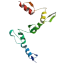 Zinc Finger Protein 705B (ZNF705B)