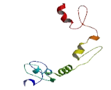 Zinc Finger Protein 705E (ZNF705E)