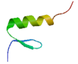 Zinc Finger Protein 705F (ZNF705F)