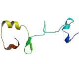 Zinc Finger Protein 706 (ZNF706)