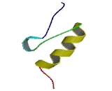 Zinc Finger Protein 709 (ZNF709)