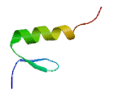 Zinc Finger Protein 72 Homolog (ZFP72)