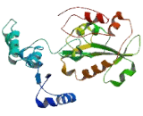 Zinc Finger Protein 73 (ZNF73)