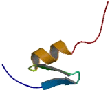 Zinc Finger Protein 74 (ZNF74)