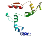 Zinc Finger Protein 749 (ZNF749)