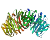 Zinc Finger Protein 761 (ZNF761)