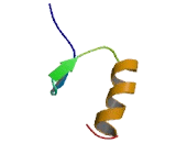 Zinc Finger Protein 77 (ZNF77)