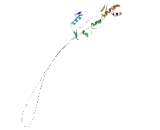 Zinc Finger Protein 771 (ZNF771)