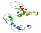 Zinc Finger Protein 775 (ZNF775)