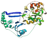 Zinc Finger Protein 776 (ZNF776)