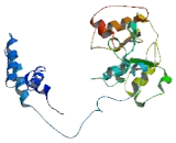 Zinc Finger Protein 777 (ZNF777)