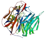 Zinc Finger Protein 780A (ZNF780A)