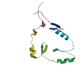 Zinc Finger Protein 781 (ZNF781)