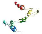 Zinc Finger Protein 787 (ZNF787)