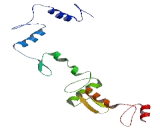 Zinc Finger Protein 791 (ZNF791)