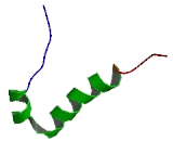 Zinc Finger Protein 8 (ZNF8)