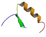 Zinc Finger Protein 808 (ZNF808)