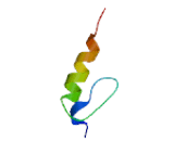 Zinc Finger Protein 815 (ZNF815)