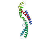 Zinc Finger Protein 821 (ZNF821)