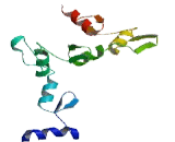 Zinc Finger Protein 83 (ZNF83)