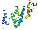 Zinc Finger Protein 837 (ZNF837)