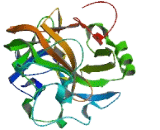 Zinc Finger Protein 841 (ZNF841)