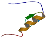 Zinc Finger Protein 843 (ZNF843)