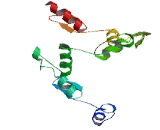 Zinc Finger Protein 845 (ZNF845)