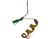 Zinc Finger Protein 85 (ZNF85)