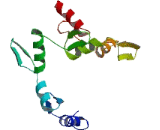 Zinc Finger Protein 860 (ZNF860)