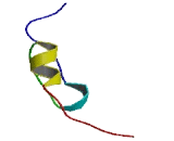 Zinc Finger Protein 90 (ZNF90)