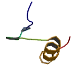 Zinc Finger Protein 92 (ZNF92)