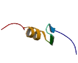 Zinc Finger Protein Interacting With K Protein 1 (ZIK1)