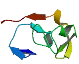 Zinc Finger Protein Like Protein 1 (ZFPL1)