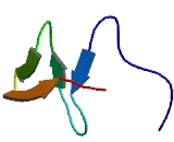 Zinc Finger Ran Binding Domain Containing Protein 1 (ZRANB1)