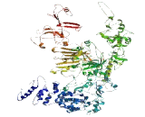 Zinc Finger ZZ-Type And EF Hand Domain Containing Protein 1 (ZZEF1)