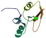 Zinc Fingers And Homeoboxes Protein 1 (ZHX1)