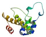 Zinc Fingers And Homeoboxes Protein 1, Isoform 2 (ZHX1I2)